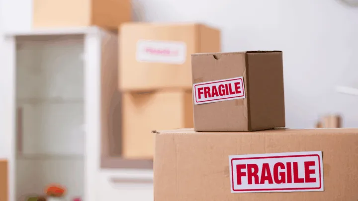 Assicurazione Trasloco